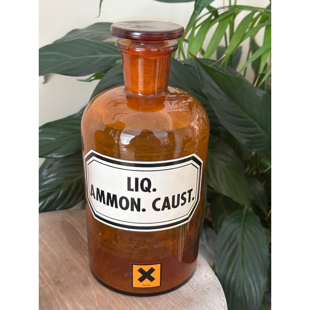 1930s German Amber Glass Apothecary Bottle – Liq. Ammon. Caust., 8-3/4" W/ Stopper - Large For Sale In Boston - Image 6 of 10