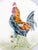 A charming antique French majolica rooster plate by H.B. Boulanger, Choisy le Roi, France, circa 1890. Maker's mark on...