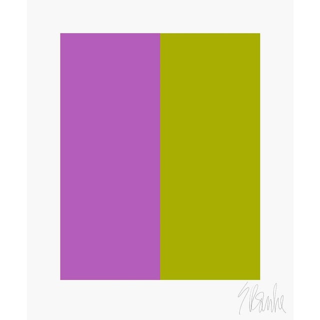 Color's Cooperation No. 4 Fine Art Print 45" X 55" by Liz Roache For Sale