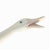 Lladro #4551 Little Duck Quacking Matte Porcelain Figurine by Fulgencio Garcia For Sale - Image 10 of 11