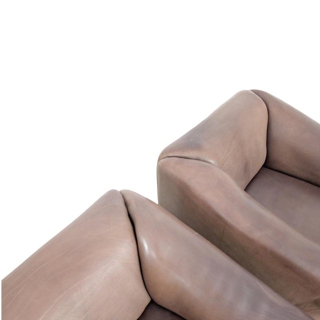 Brown DS 47 Lounge Chair in Leather from de Sede For Sale - Image 8 of 10