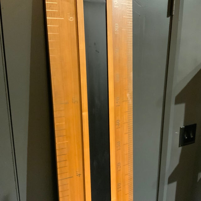 2020s David Linley Life Size Height Chart in Walnut For Sale - Image 5 of 6