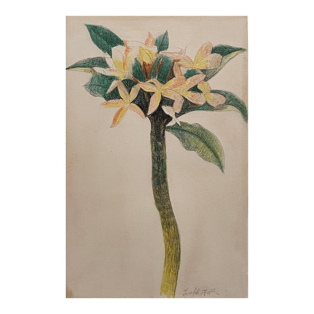Joseph Stella (American, 1877–1946) Floral Study, Pencil and Crayon on Paper For Sale