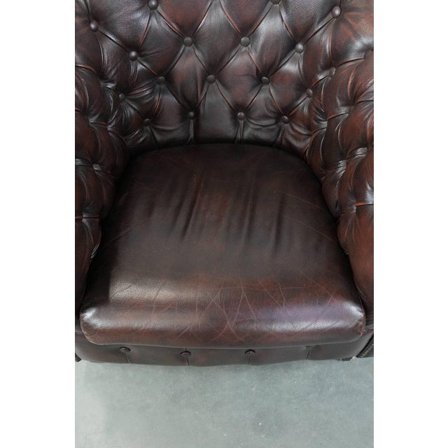 English-Style Chesterfield Club Chair in Cowhide Leather For Sale - Image 6 of 15