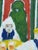 Mohamed Hamri Moroccan Modernist Folk Art Painting, the Unique Singer, 1977 For Sale - Image 10 of 18