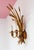 They each operate with two E14 type bulbs. European Plug (up to 250V).The wiring of this item may be original and might...