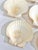 Shell Mid Century Natural Seashell Clam Shell Appetizer Plates - Set of 7 For Sale - Image 7 of 12