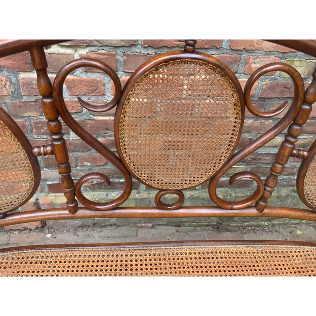 Antique Sofa in Bentwood from Thonet, 1890 For Sale - Image 6 of 15
