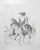 Illustration 1994 Cowboy Horse and Cows Western Drawing For Sale - Image 3 of 3