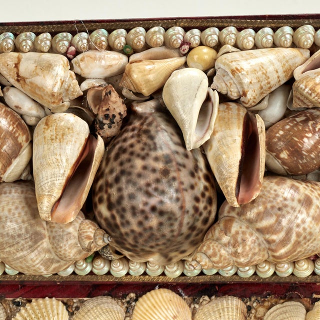 Shell Antique Seashell Clad Box For Sale - Image 7 of 13