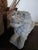 Stone Vintage Concrete Lion Garden Statue For Sale - Image 7 of 8