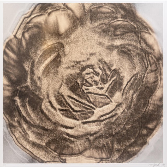 Contemporary Lisa Spindler Untitled Rose Series I 2024 Signed Contemporary Photograph 1/10 For Sale - Image 3 of 6