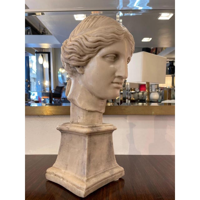 Stone Bust of Aphrodite / Venus, Early 1800s, Marble For Sale - Image 7 of 8