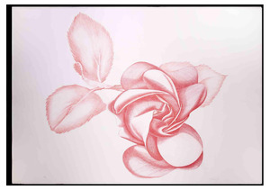 Giacomo Porzano, Red Rose, Original Etching, 1970s