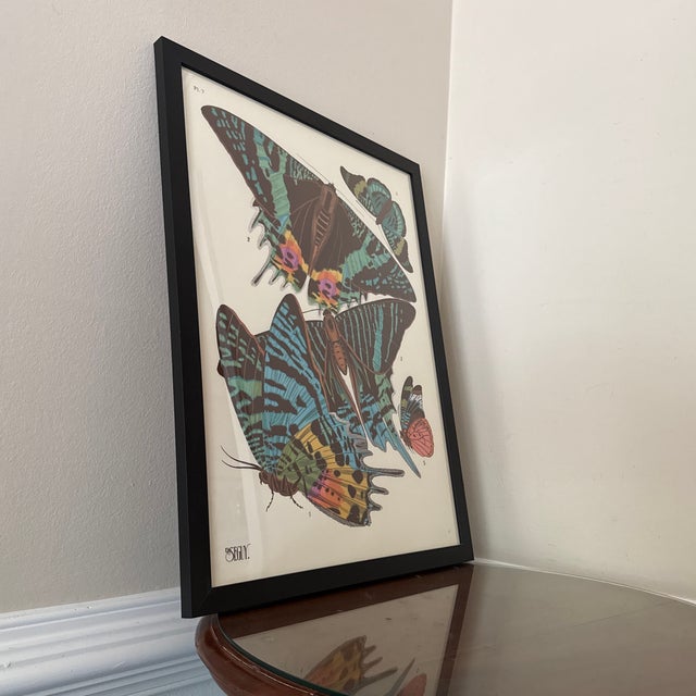 Art Deco Vintage Insects Giclee Print After Emile-Allain Seguy ~Framed For Sale - Image 3 of 10
