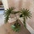 Hollywood Regency Vintage Hollywood Regency Palm Beach Metal Tole Palm Tree Planter For Sale - Image 3 of 12
