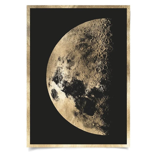 This collection is from an old collection of early 1700’s celestial engravings showing some of the first discoveries of...