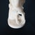 Classical Alabaster Sculpture of a Woman by P. Bazzanti, Florence 19thC For Sale - Image 11 of 18