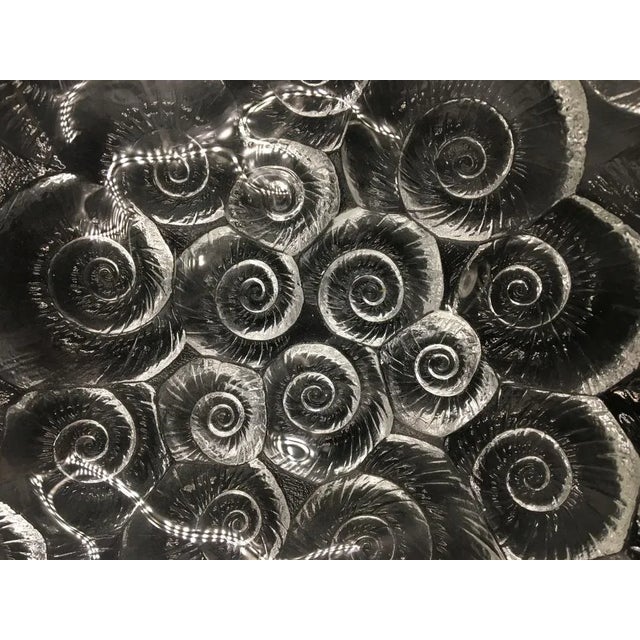 French Art Deco Glass Bowl with Shells and Fossil Motif, 1930s, in Flawless conditions. Designed 1920 to 1949