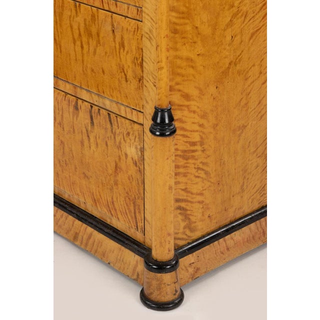 Wood Biedermeier Chest of Drawers with Maple and Ebonized Accents, Austria For Sale - Image 7 of 9
