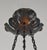 French Art Deco Pendant Light by Daum & Majorelle - 1925 Cameo Chandelier France For Sale - Image 12 of 14
