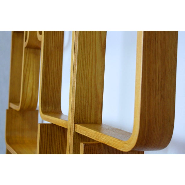 Mid-Century Modern Room Dividers by Ludvik Volak for Drevopodnik Holesov, 1960s, Set of 3 For Sale - Image 10 of 16