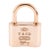 Tiffany & Co. 1837 Padlock Rose Tone Rubedo Metal Lock Charm Pendant For Sale
