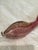 Flavio Poli Designed Fish Made by Archimedean Seguso . Murano Art Glass Ruby/Gold Color With Gold Leaf Inclusions Plus Bullicante Bibles. For Sale In Dallas - Image 6 of 8