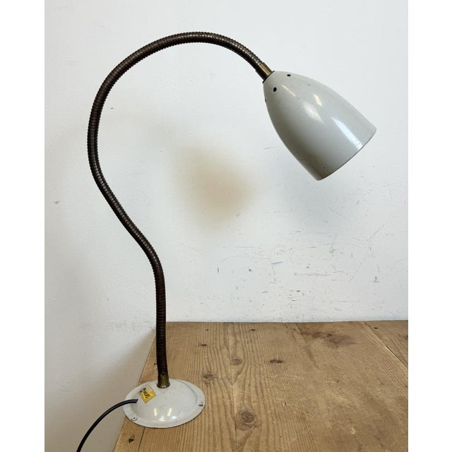 Gray Grey Industrial Gooseneck Table Lamp from Philips, 1960s For Sale - Image 8 of 18