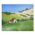 Sonoma Barns Lynne French 16x20 California Landscape O/C For Sale