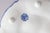 Antique French Bordeaux Vieillard Blue & White Seaweed Oyster Plate Platter, Circa 1890 For Sale - Image 9 of 10