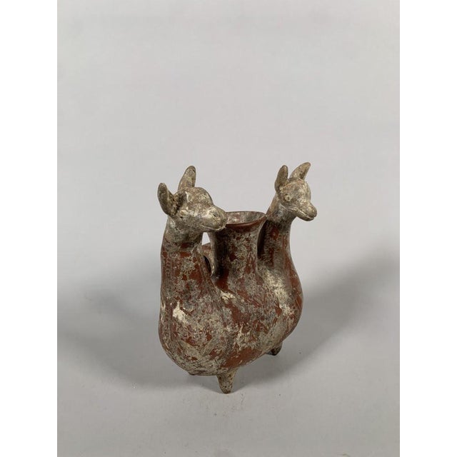 Terra Cotta Amlash Terracotta Zoomorphic Terracotta Vase Zoomorphic Archaeology For Sale - Image 8 of 9