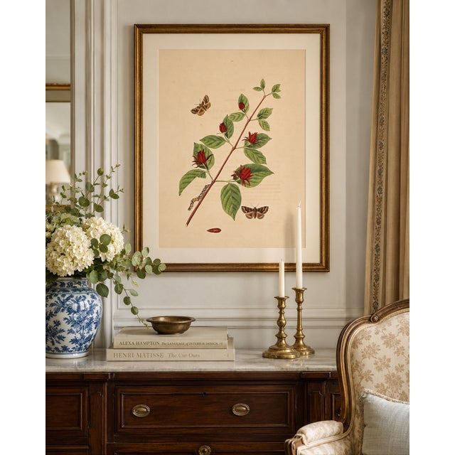 Paper Antique Botanical Study With Moths, 1797 Vintage Art Print Reproduction, 16" X 24" For Sale - Image 7 of 10