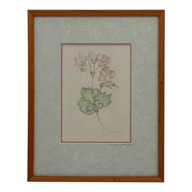 Margot Weemaes 1981 Pelargonium Grandiflorum Botanical Portfolio Print For Sale