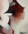 Klaudia Lata, transFORMATIONS, 2023, Oil on Canvas For Sale - Image 4 of 5