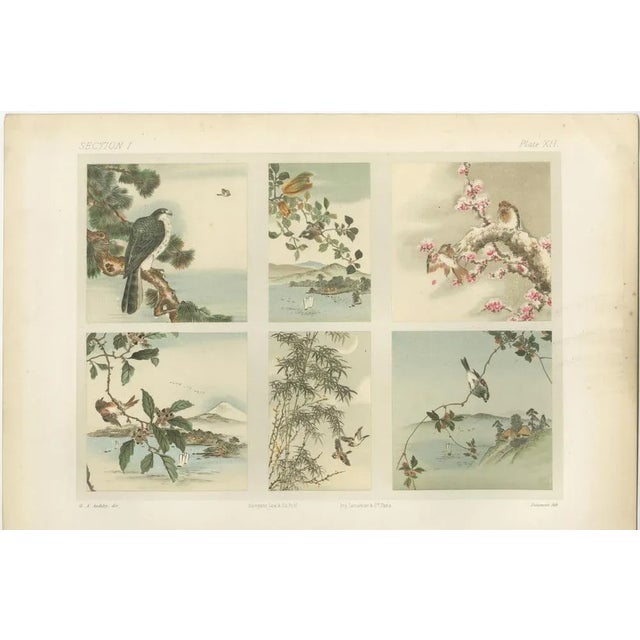 Title: Antique Japanese Bird and Landscape Print: Six Panels of Nature’s Harmony : This exquisite 19th-century Japanese...