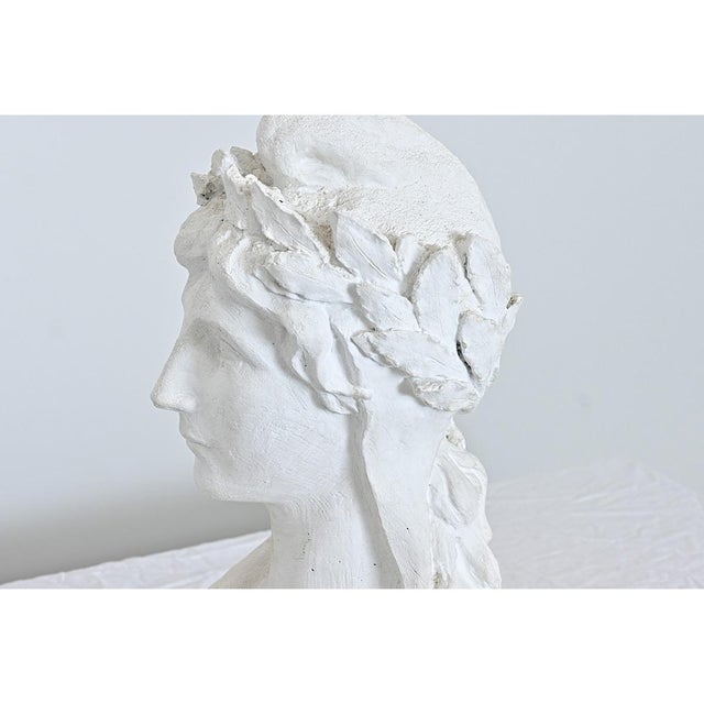 French Vintage Plaster Bust of a Woman in Laurel Leaf Crown For Sale - Image 4 of 8