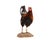 Life-Size Gamecock Taxidermy Mount Brilliant Red Orange Plumage Sand Mount Rooster For Sale - Image 10 of 17
