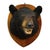 Cabin Vintage Black Bear Taxidermy Head Mount C1950 For Sale - Image 3 of 8