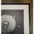 2020s 27.5' X 27.5' - 'Dandelion' #3 - Black and White Limited Edition Botanical Floral Photograph Print For Sale - Image 5 of 5