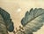 Antique Hand-Colored Engraving — Tomato & Melon Botanical Print After Basilius Besler, Framed For Sale In New York - Image 6 of 18