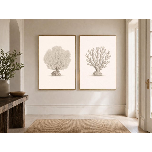 Coastal Coral Study Set, Minimal Botanical Art Prints, 24" × 36" (Set of 2) For Sale - Image 4 of 8