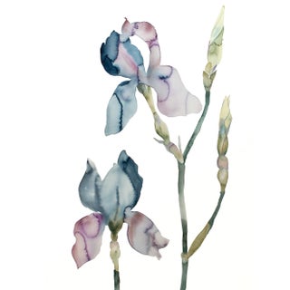 "Iris No. 146" Contemporary Original Botanical Floral Watercolor Painting by Elizabeth Becker For Sale