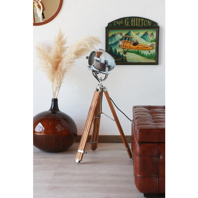 Egg Shape Theater Spotlight by Morgan McLleod, 1950s For Sale - Image 16 of 18