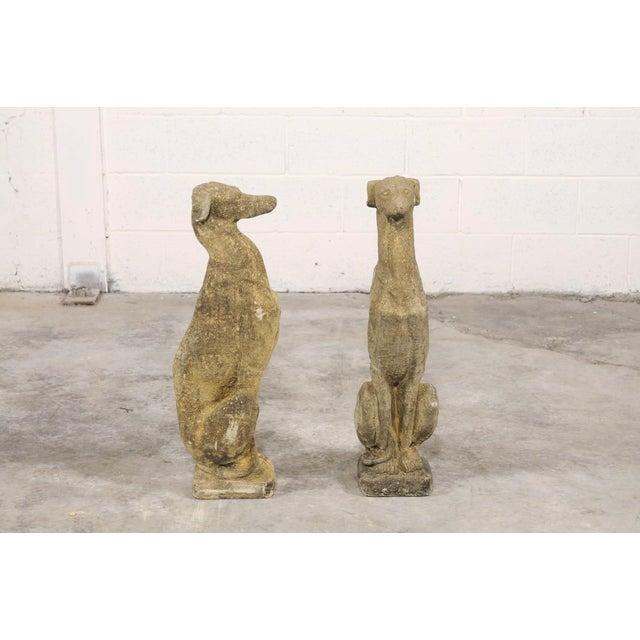 Mid 20th Century Mid 20th Century Pair of Stone Greyhound Garden Statues For Sale - Image 5 of 11