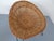 Mid-Century Bamboo Chairs attributed to Janine Abraham and Dirk Jan Rol, France, Set of 4 For Sale - Image 13 of 17