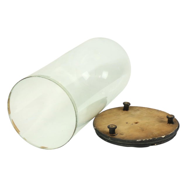 Antique Mouth-Blown Glass Dome Globe, 1890s For Sale - Image 9 of 12