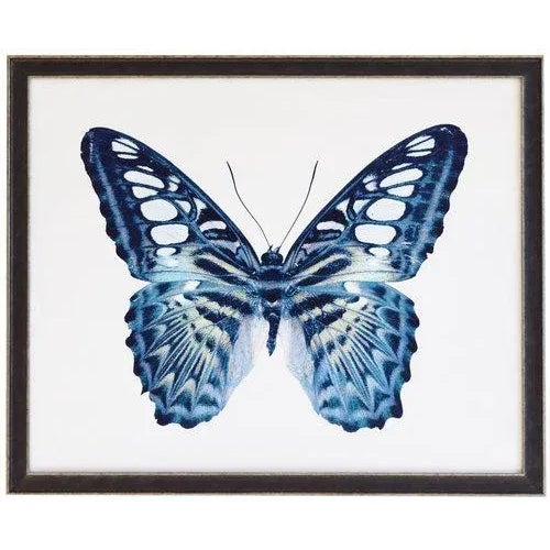 Boho Chic Blue Spotted Butterfly - 32" X 26" For Sale - Image 3 of 3