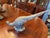 Pheasant Pair For Sale - Image 11 of 14