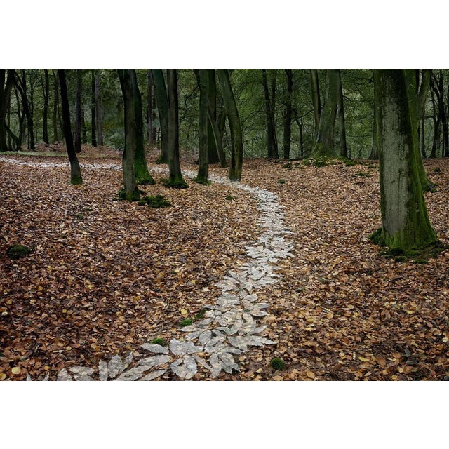 Come With Me 8 is a Digital C-Type Print on Fuji Maxima Matte paper, available in this size from a Limited Edition of 7 +...